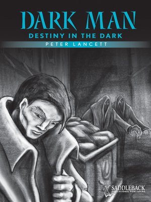 cover image of Destiny in the Dark (Blue Series)